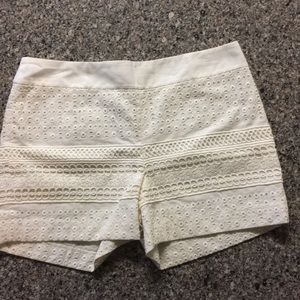 NWT Loft cream eyelet shorts with side zipper